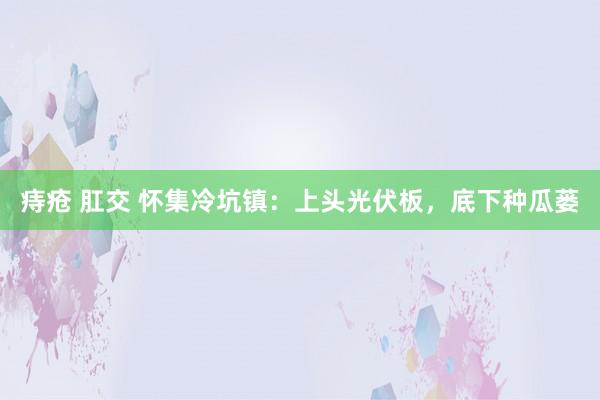 痔疮 肛交 怀集冷坑镇：上头光伏板，底下种瓜蒌