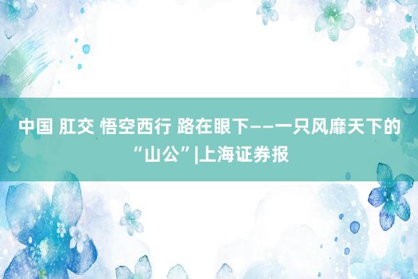 中国 肛交 悟空西行 路在眼下——一只风靡天下的“山公”|上海证券报