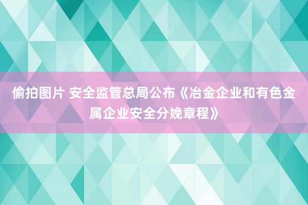 偷拍图片 安全监管总局公布《冶金企业和有色金属企业安全分娩章程》