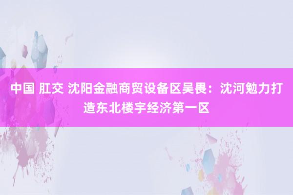 中国 肛交 沈阳金融商贸设备区吴畏：沈河勉力打造东北楼宇经济第一区