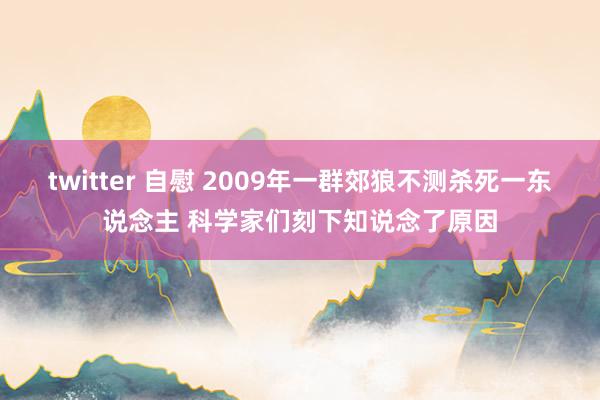 twitter 自慰 2009年一群郊狼不测杀死一东说念主 科学家们刻下知说念了原因