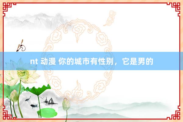 nt 动漫 你的城市有性别，它是男的