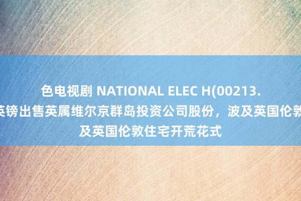 色电视剧 NATIONAL ELEC H(00213.HK)拟400万英镑出售英属维尔京群岛投资公司股份，波及英国伦敦住宅开荒花式