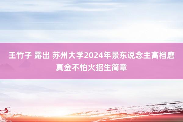 王竹子 露出 苏州大学2024年景东说念主高档磨真金不怕火招生简章